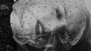 Close up portrait shot of a woman wearing a Swarovski scarf on her face. All black and white. Vintage Cooke look.