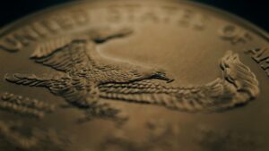 Detail shot of a dollar coin. Shot with an ARRI Zeiss Macro lens.