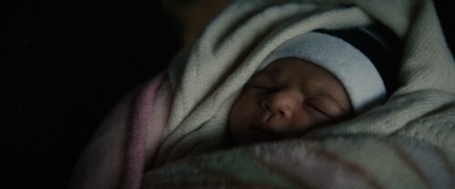 FullFrame KowaAnamorphic 00005