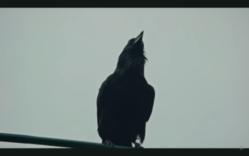 A screenshot from KIZ's music video for Görlitzer Park